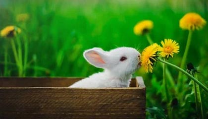 开云平台-地方篮球联赛蓬勃发展助力国家队选材