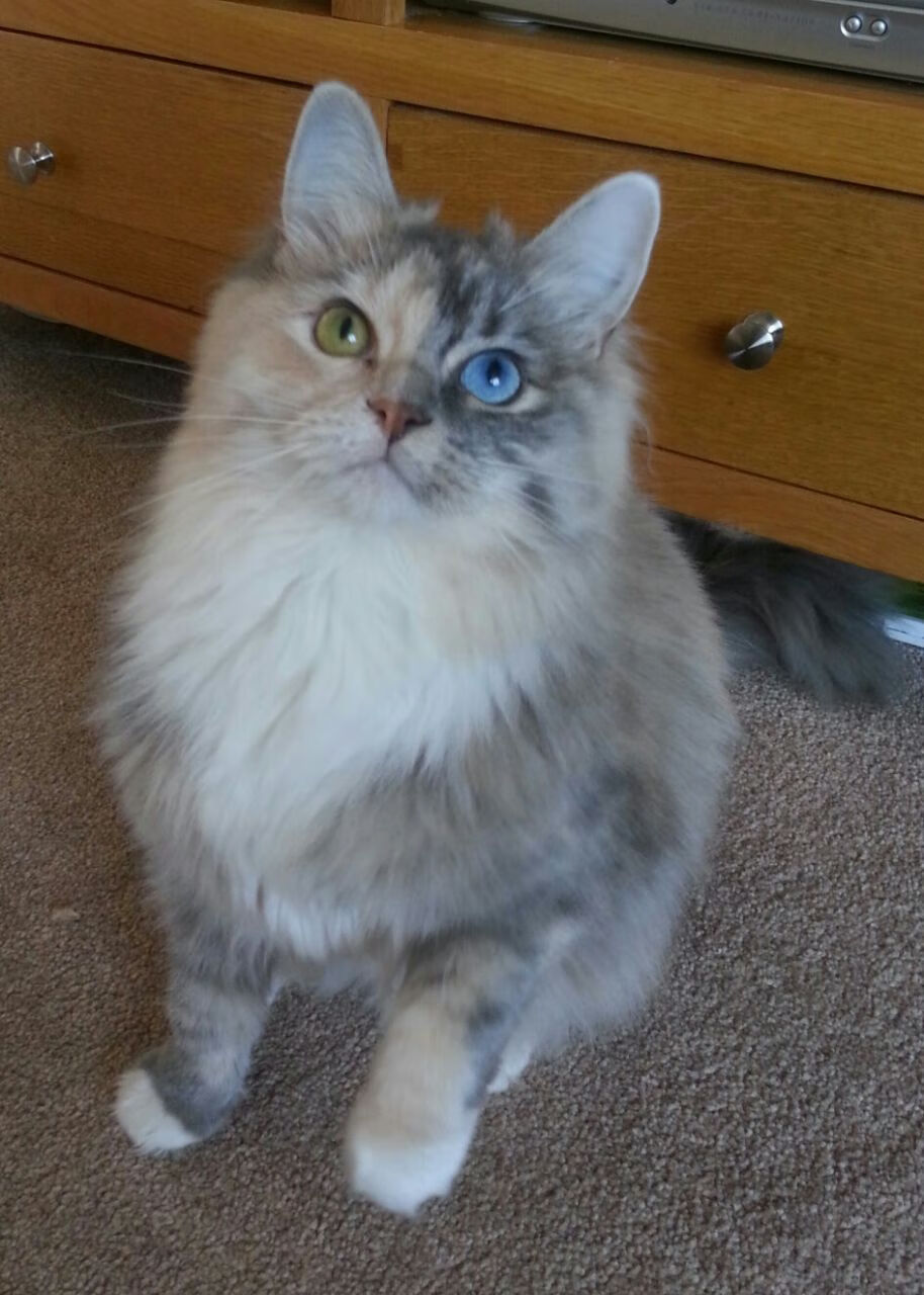 开云官网APP下载-“关键时刻：NBA最难忘的绝杀瞬间”，nba最牛的绝杀