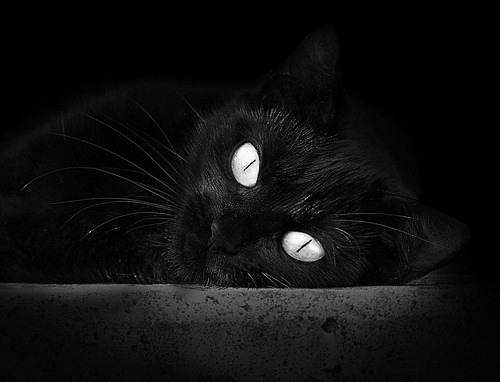 Kaiyun(中国)开云-“青春奋起”青少年篮球公益主题电影在全国热映，弘扬拼搏精神