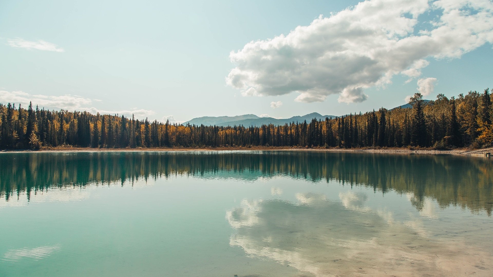 Kaiyun官方登录入口-【青训秘籍】丁俊晖：年轻选手如何模仿冠军训练？，运动员丁俊晖