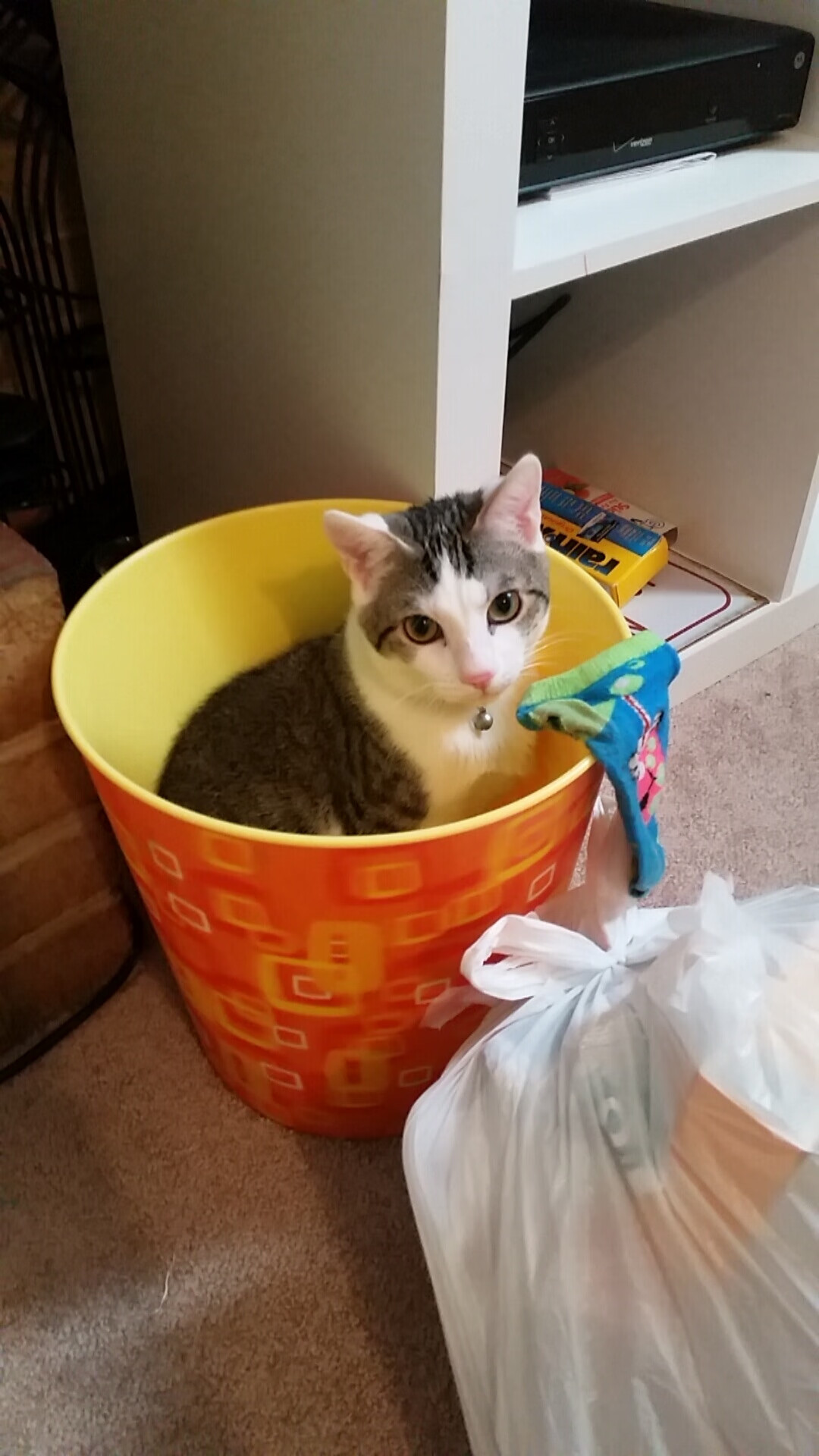 kaiyun网站-哥伦比亚队在巴黎奥运会比赛中多次通过团队配合得分，哥伦比亚奥运会赛程