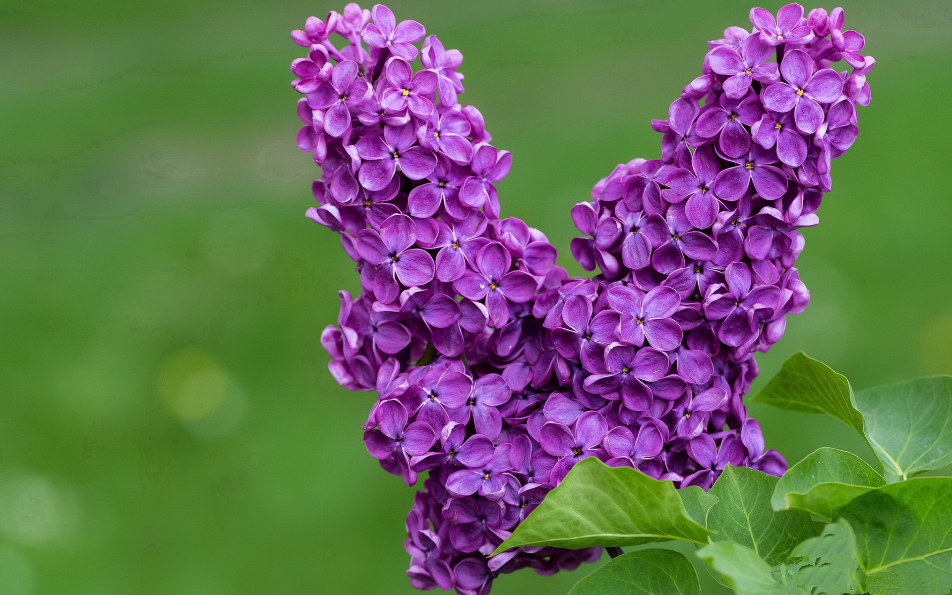 复合材料赛车零部件的技术革新,复合材料 汽车
