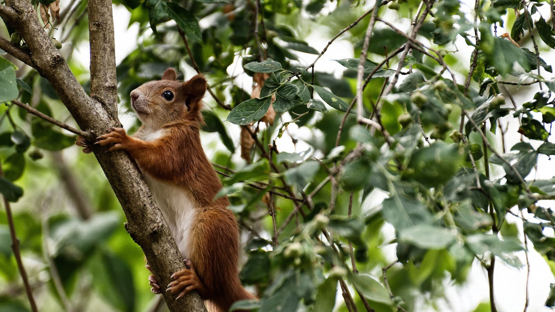 开云体育APP下载-托特纳姆热刺新援首秀精彩，球迷欢呼，托特纳姆热刺对
