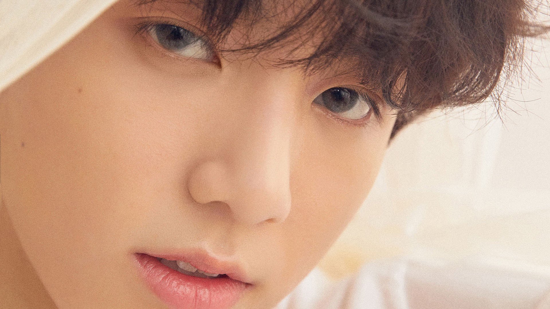 摩洛哥青少年马术选手在2024年全国青少年马术锦标赛中表现出色,获得多项荣誉。