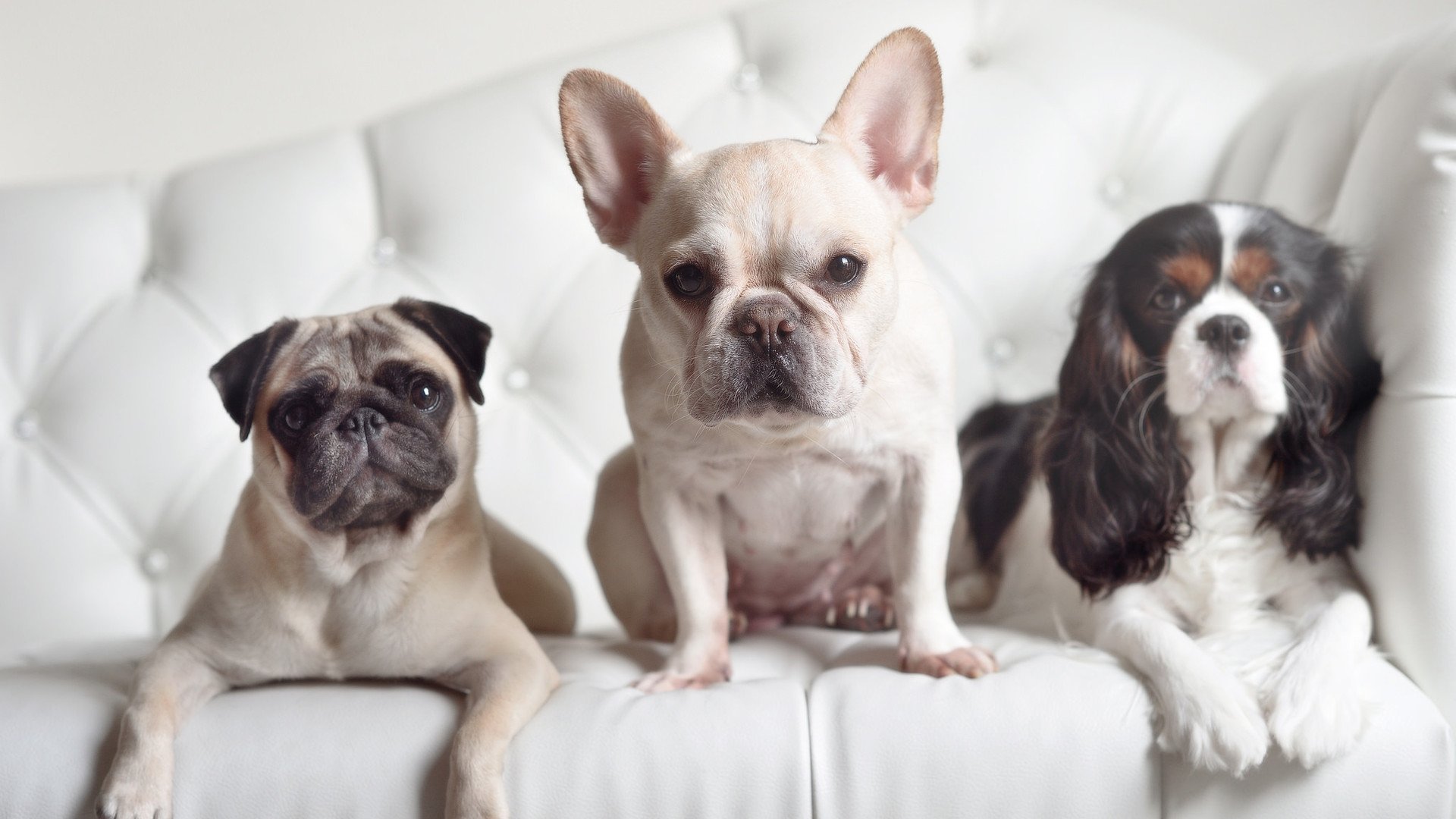 篮球职业联赛赛后复盘系统广泛应用,篮球比赛复活赛