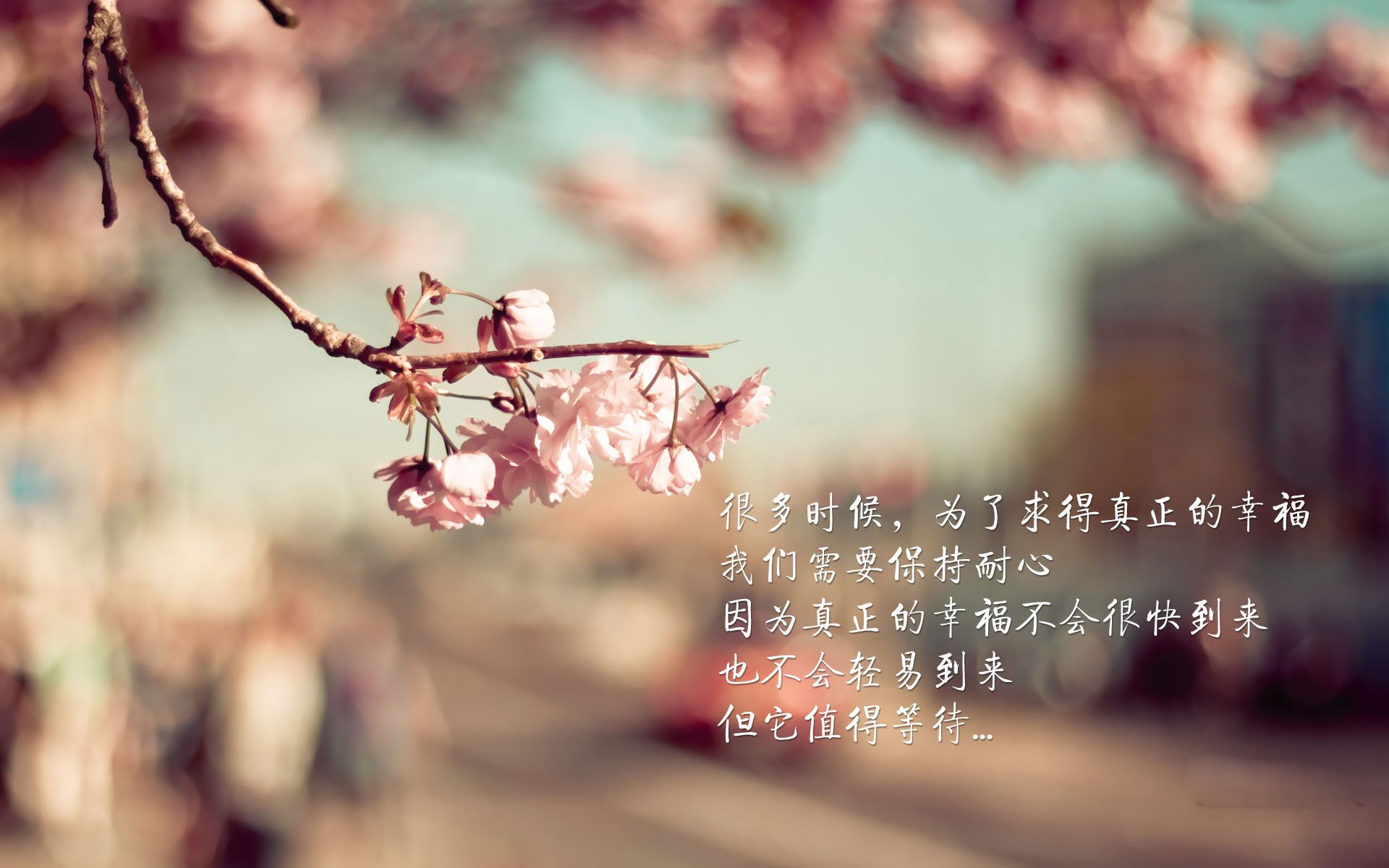 篮球运动员心理辅导体系日益完善,篮球心里素质训练