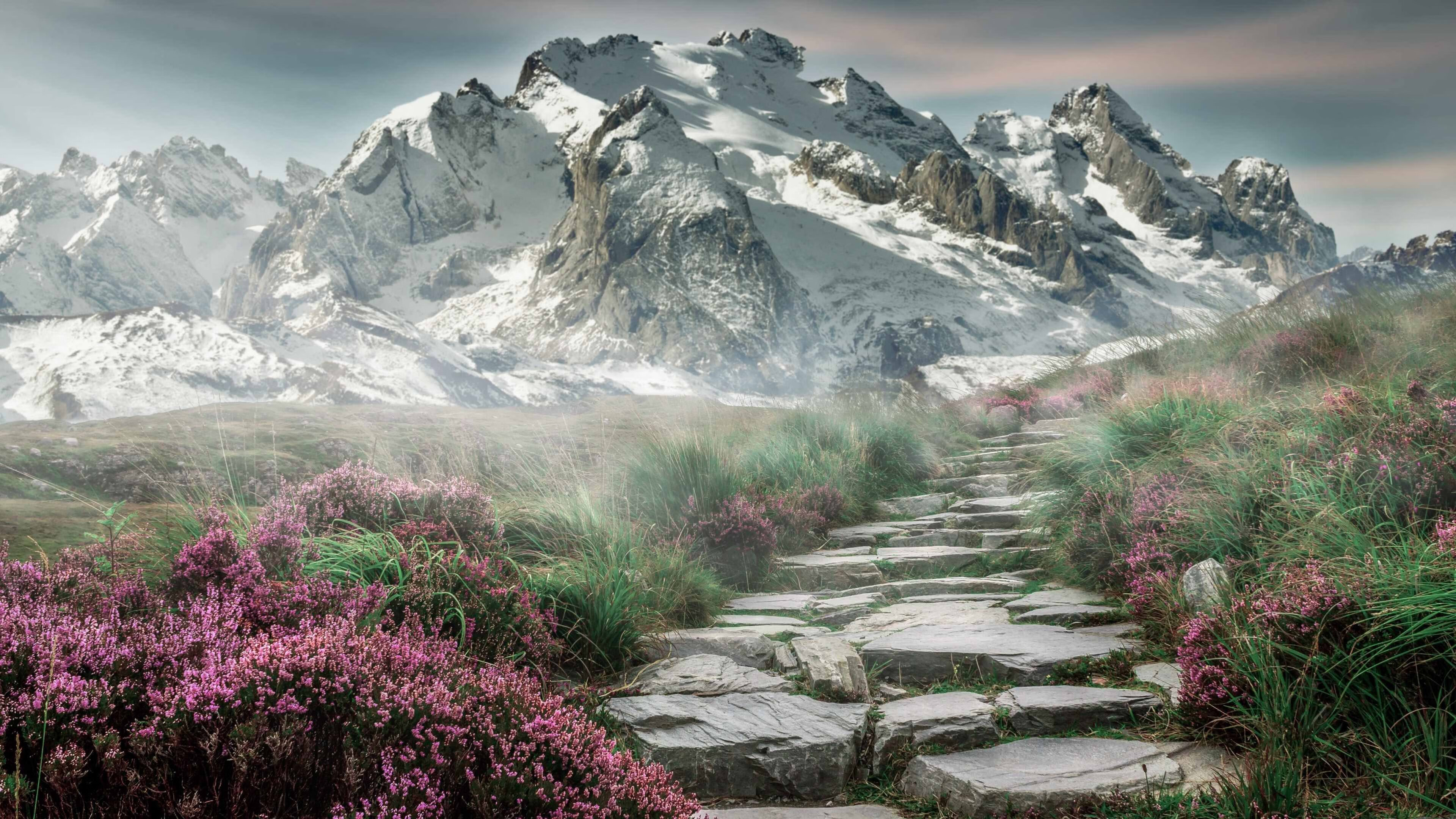 开云·体育官网-中超联赛的俱乐部品牌推广策略，中超联赛品牌赞助商