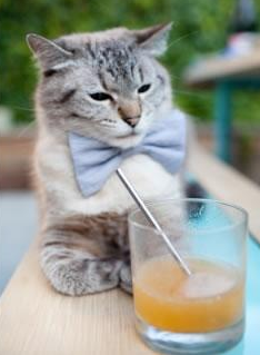 摩洛哥逆袭兰斯,展现出战斗力的提升,摩洛哥逆袭兰斯,展现出战斗力的提升