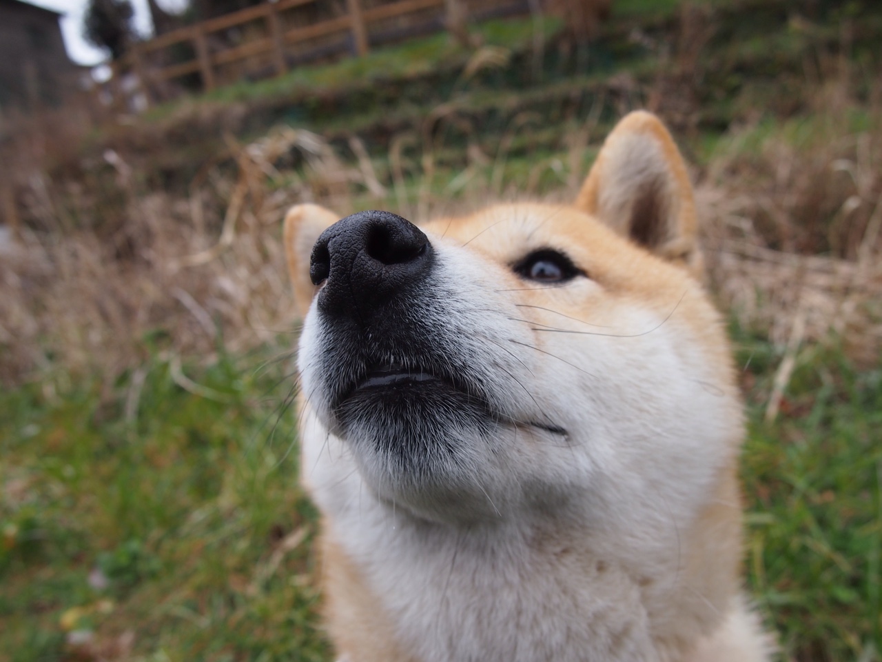 欧洲足球冠军联赛实力悬殊对决，逆袭之路何时启程？，欧洲足球冠军联赛冠军