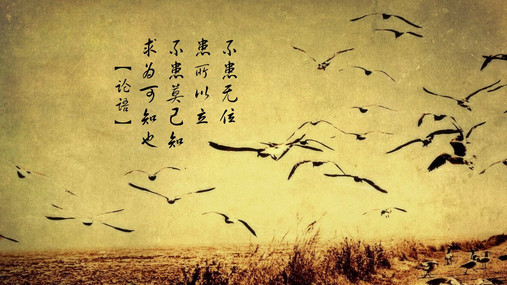 开云入口-王牌队篮板球争夺激烈，王牌队篮板球争夺激烈比赛