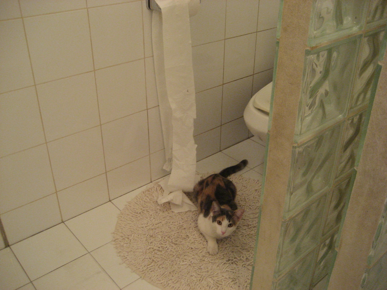 马竞中场突破射门,助球队赢得胜利,马竞中场突破射门,助球队赢得胜利