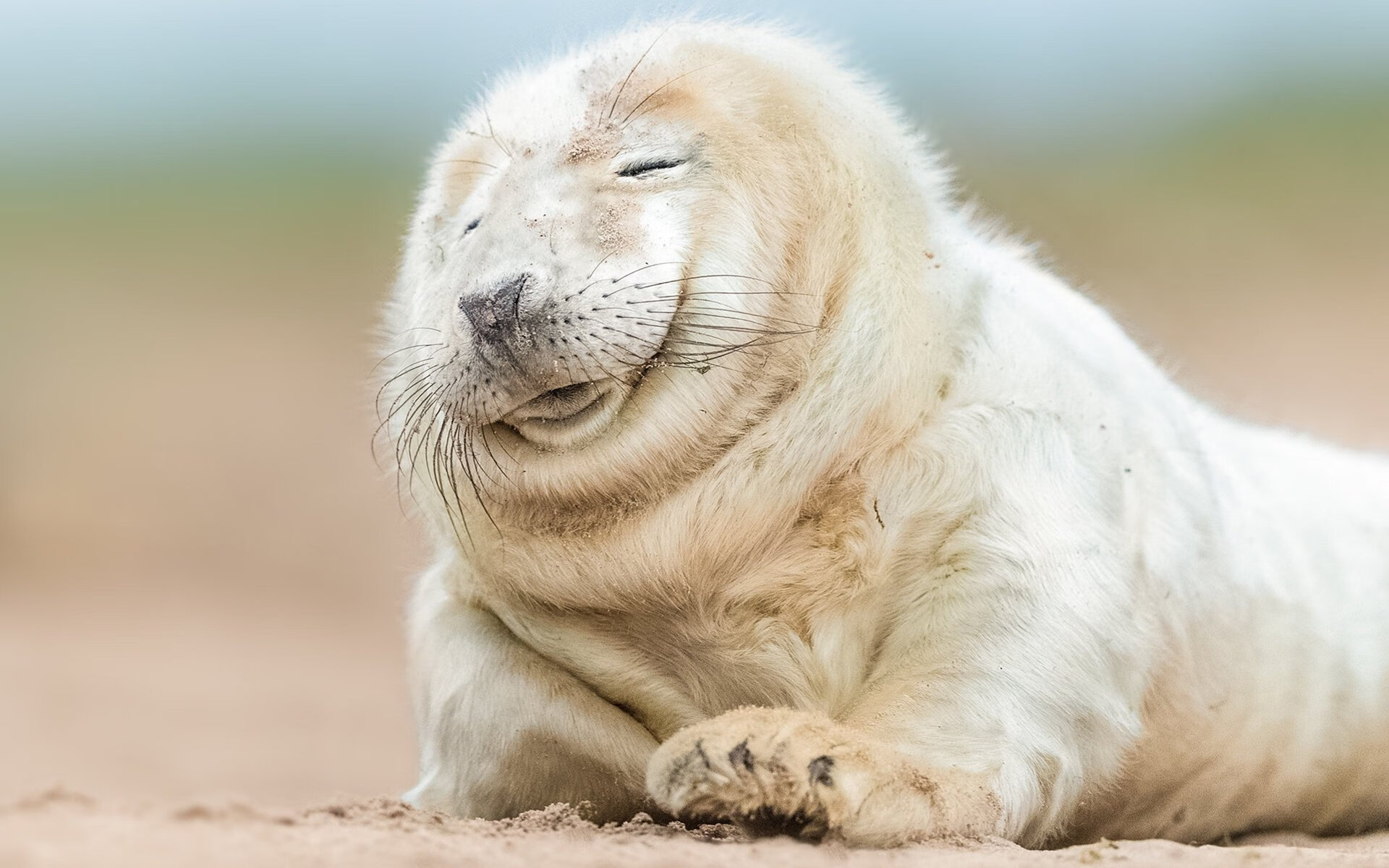 青少年体育锻炼行为干预策略研究,青少年体育锻炼行为干预策略研究论文