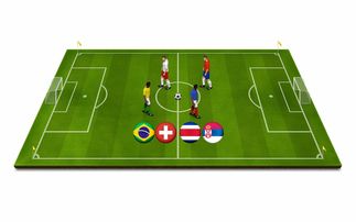 开云·体育官网APP下载-青少年体育运动安全保障体系研究，推动青少年体育事业蓬勃发展的文件