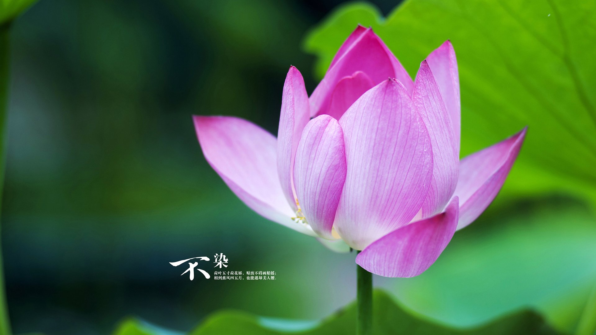 高校运动损伤案例数据库建设方案与应用前景,运动损伤课题