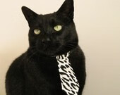 Chinese Taipei团队未来:实现更广泛的国际化发展,chinese of taipei