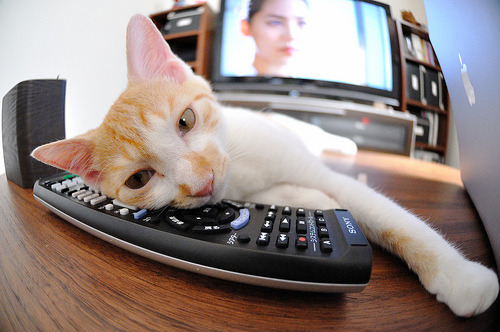 Kaiyun APP-东亚杯U23国足晋级 球员表现备受认可，东亚杯国足3比0韩国