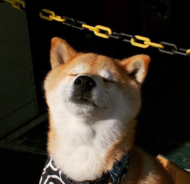 中国女篮多点开花 攻防均衡发展，中国女篮的情况