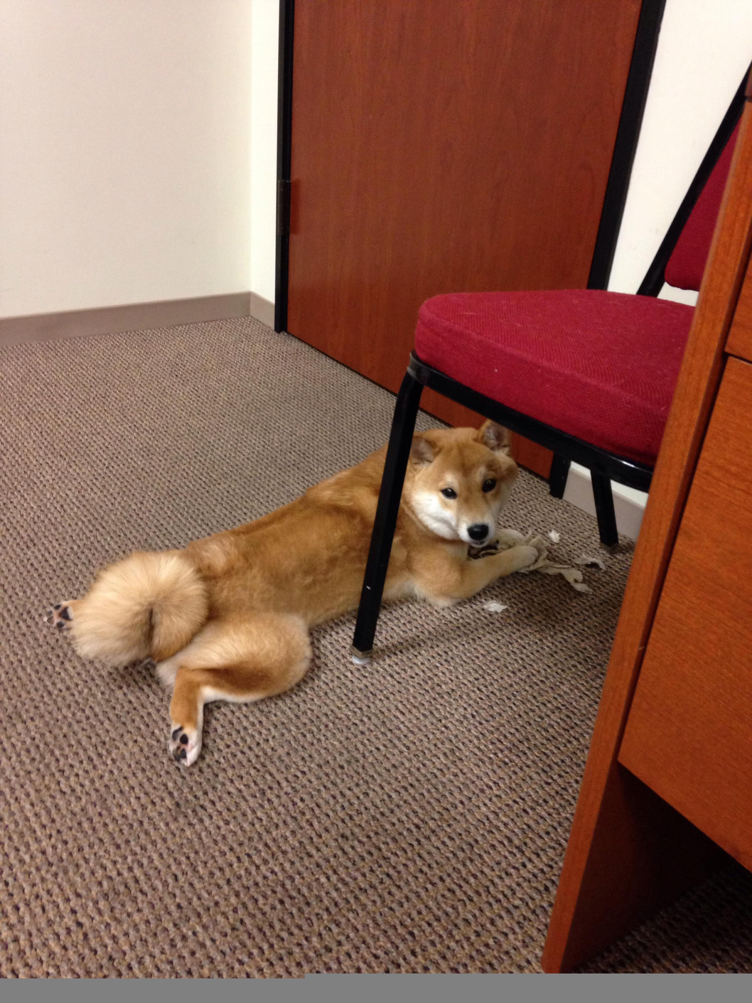 中国男篮防守强度亟需恢复曾经硬度，中国男篮防守悍将