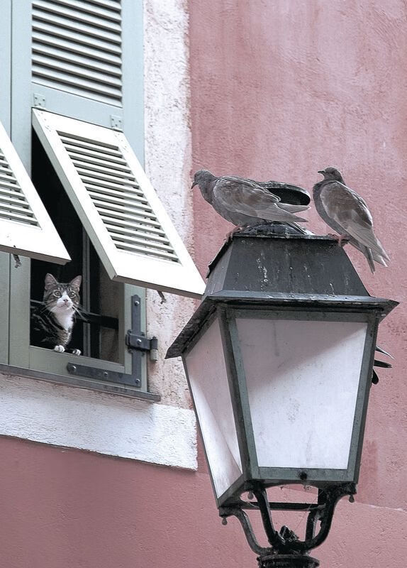 全国学生体育论坛研讨校内竞赛制度改革,全国学生体育竞赛计划