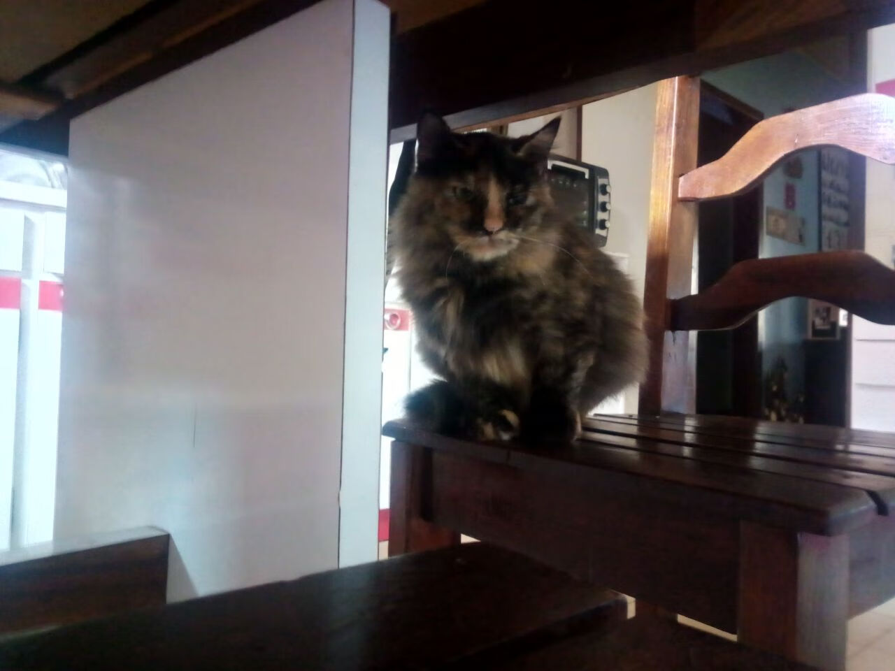 各大联赛技战术风格是否正在趋于统一,五大联赛技术特点