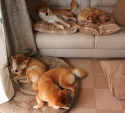 技术分析：出发入水角度优化效果明显，出进水问题