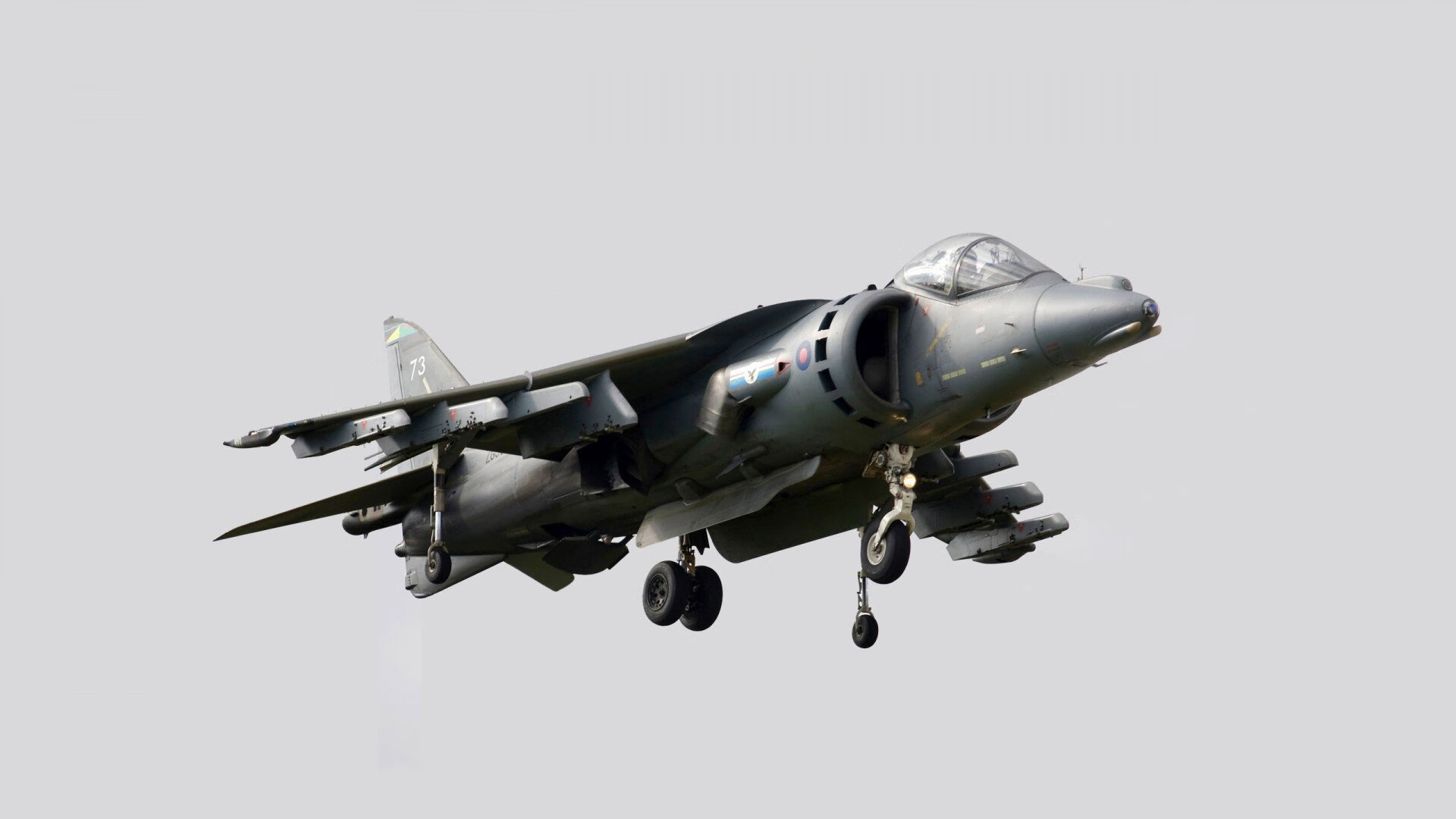 教练暂停时机决定比赛成败,教练暂停手势