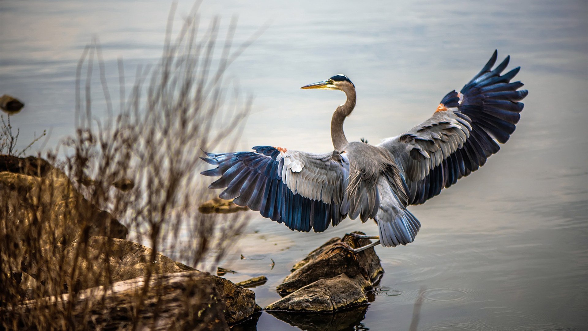 世界杯精彩集锦：壮观场面一网打尽，世界杯精彩瞬间视频