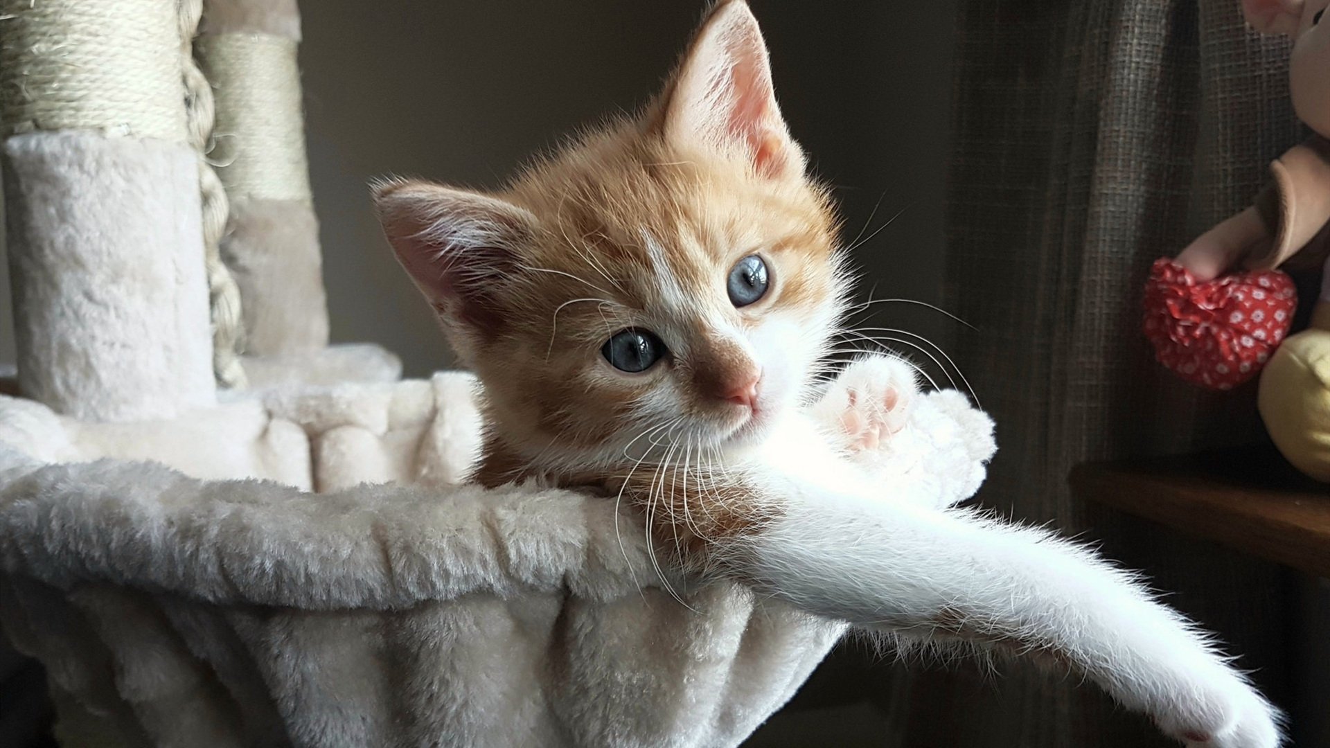 中国组合展现团队精神收获喝彩,中国有哪些团队组合