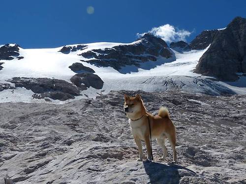 澳大利亚橄榄球赛事的转播权价值激增，全球关注度不断上升，一场令人激动的澳式橄榄球比赛