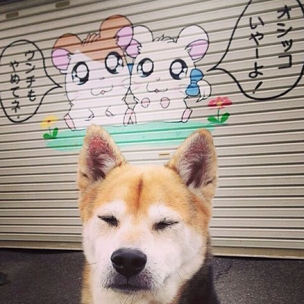 王楚钦回应球迷问题称心态最重要，王楚钦访谈